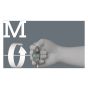 Beeld
